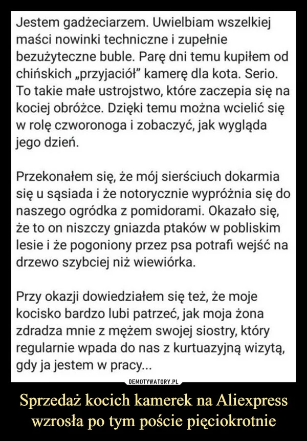
    Sprzedaż kocich kamerek na Aliexpress wzrosła po tym poście pięciokrotnie