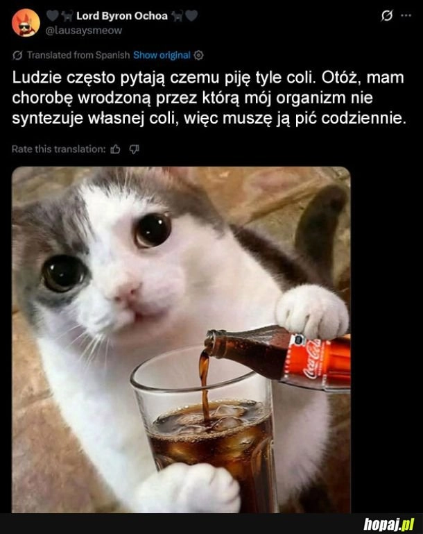 Trochę tolerancji