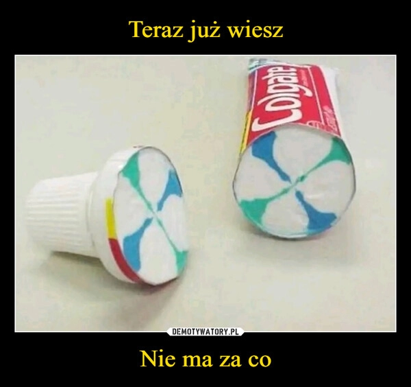 
    Teraz już wiesz Nie ma za co 