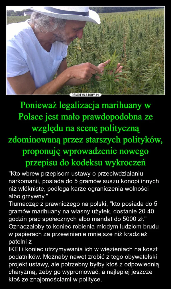 Ponieważ legalizacja marihuany w Polsce jest mało prawdopodobna ze względu na scenę polityczną zdominowaną przez starszych polityków, proponuję wprowadzenie nowego przepisu do kodeksu wykroczeń