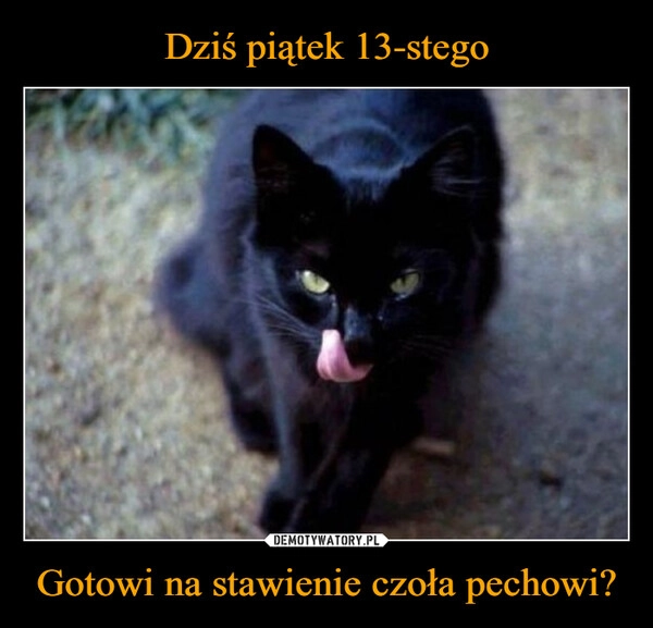 
    Dziś piątek 13-stego Gotowi na stawienie czoła pechowi?