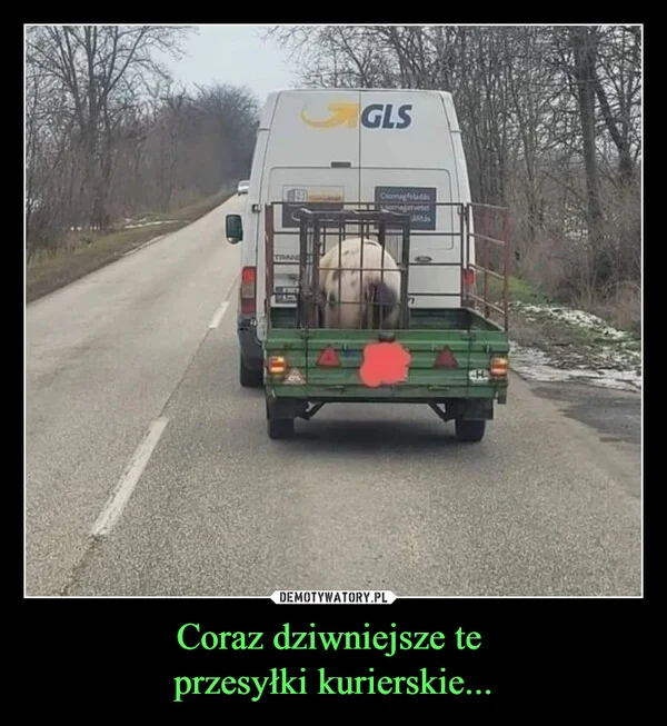 
    Coraz dziwniejsze te przesyłki kurierskie...