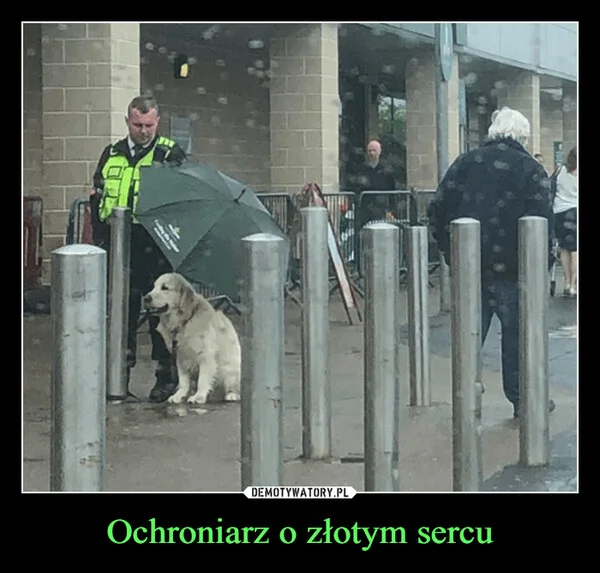 
    Ochroniarz o złotym sercu