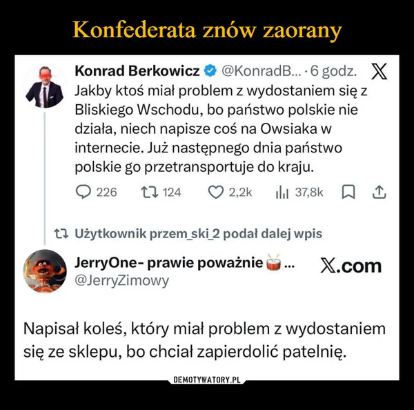 
    Konfederata znów zaorany