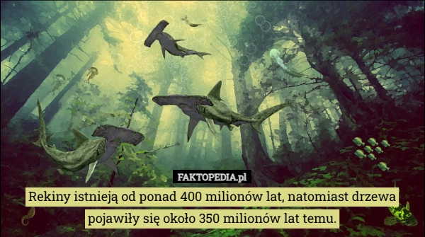
    Rekiny istnieją od ponad 400 milionów lat, natomiast drzewa pojawiły się