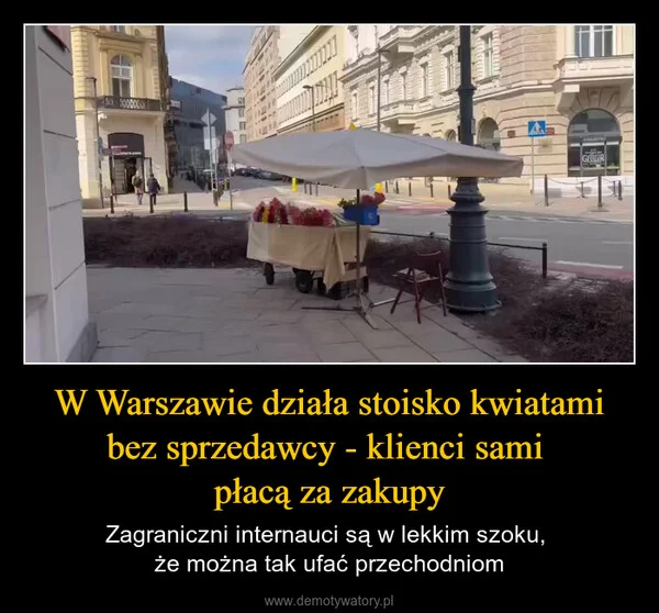 
    W Warszawie działa stoisko kwiatami bez sprzedawcy - klienci sami płacą za zakupy