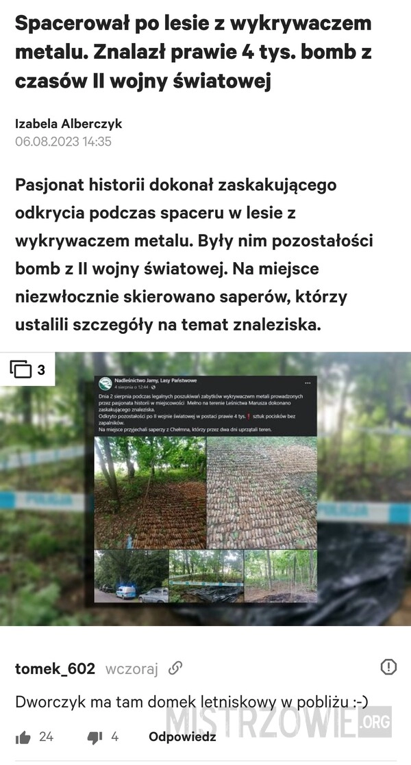 
    Znalezisko w lesie