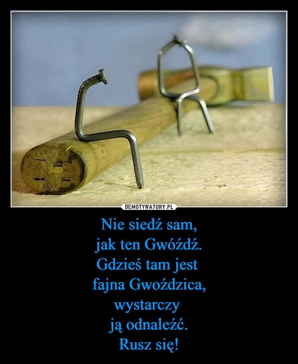 
    Nie siedź sam,
jak ten Gwóźdź.
Gdzieś tam jest 
fajna Gwoździca,
wystarczy 
ją odnaleźć.
Rusz się!