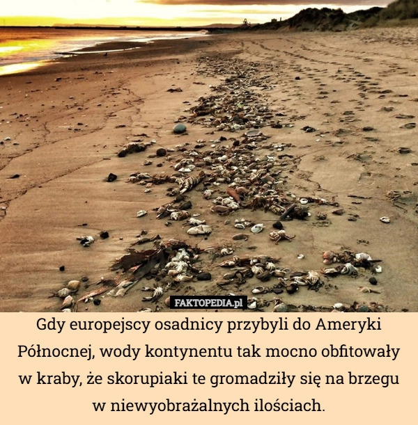 
    Gdy europejscy osadnicy przybyli do Ameryki Północnej, wody kontynentu tak