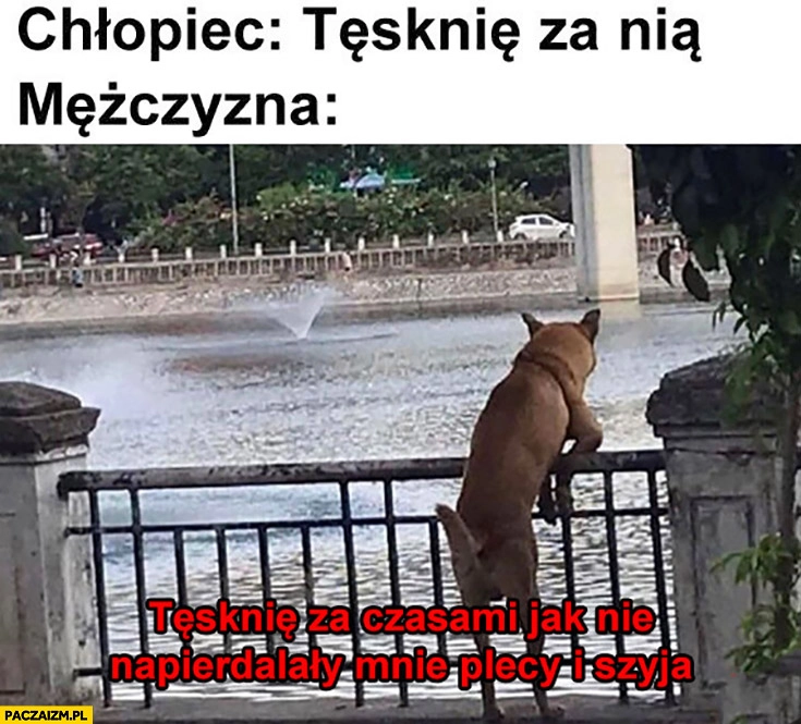 
    Chłopiec tęsknię za nią, mężczyzna: tęsknie za czasami jak nie napierdzielały mnie plecy i szyja pies