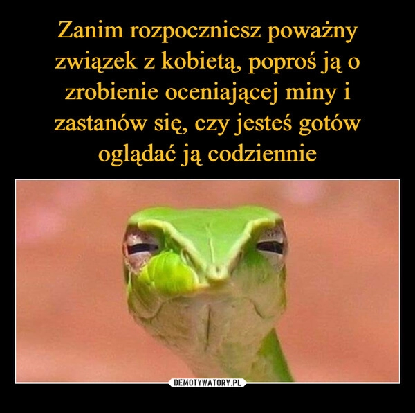 
    Zanim rozpoczniesz poważny związek z kobietą, poproś ją o zrobienie oceniającej miny i zastanów się, czy jesteś gotów oglądać ją codziennie