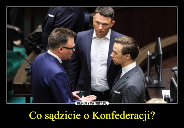 
    Co sądzicie o Konfederacji?