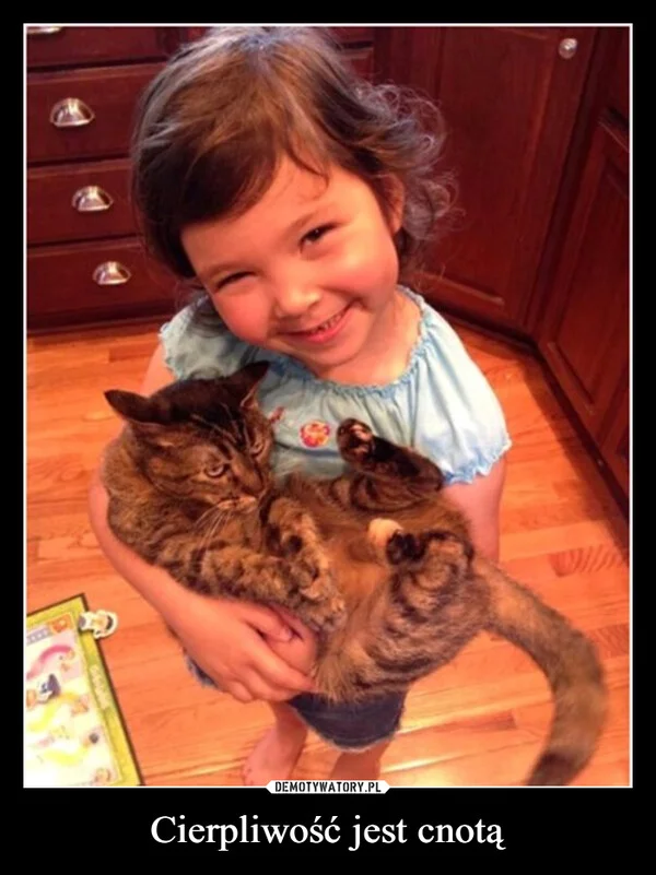 
    Cierpliwość jest cnotą