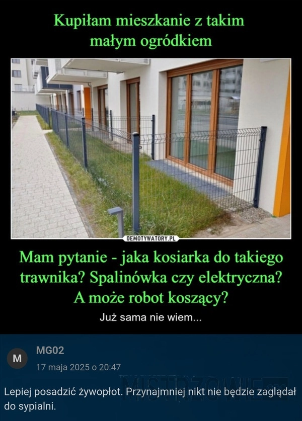 
    Trawnik