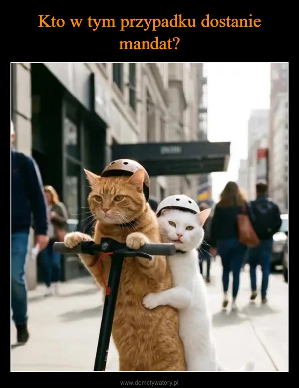 
    Kto w tym przypadku dostanie mandat?
