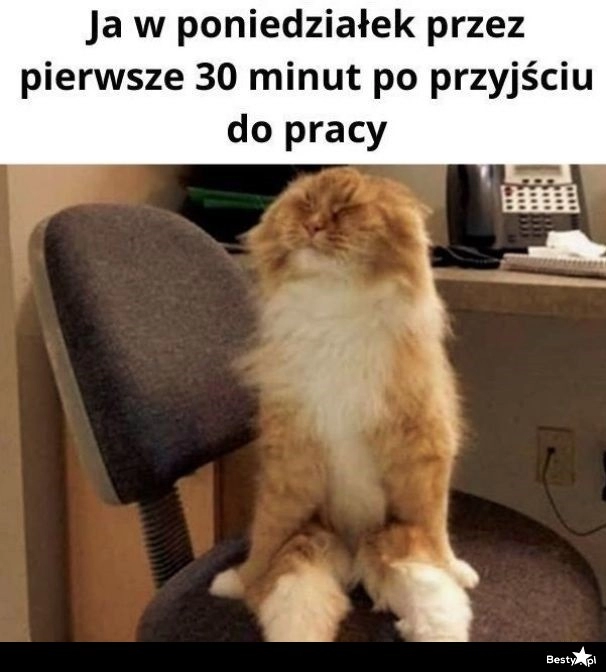 
    Poniedziałek w pracy 