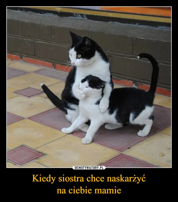 Kiedy siostra chce naskarżyć na ciebie mamie