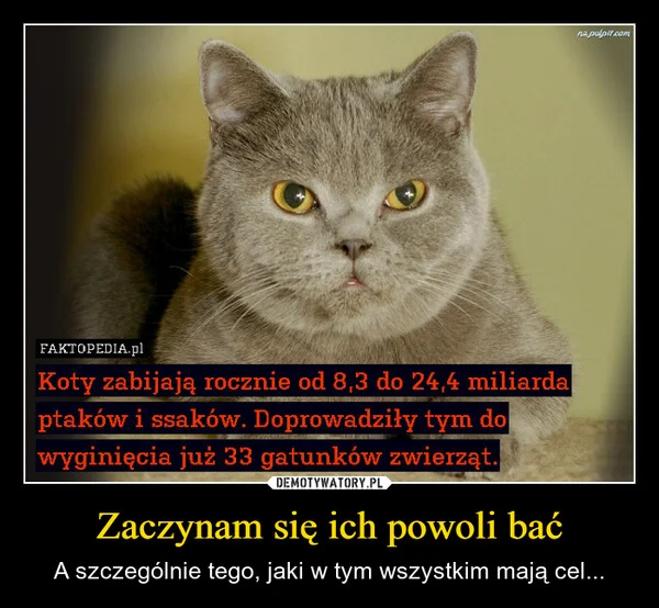 
    Zaczynam się ich powoli bać