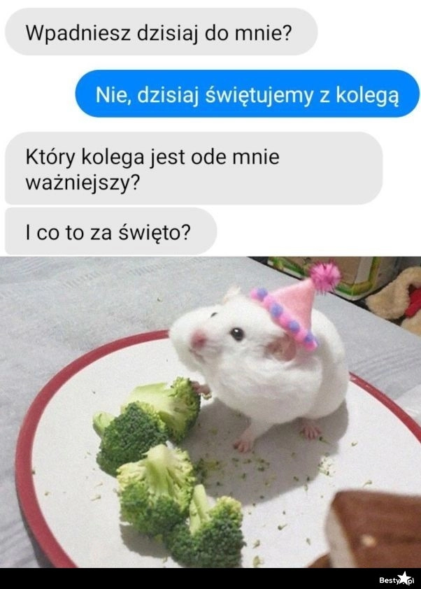 
    Ważniejszy kolega 