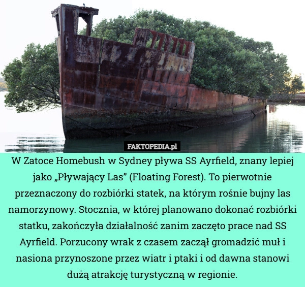 
    W Zatoce Homebush w Sydney pływa SS Ayrfield, znany lepiej jako „Pływający