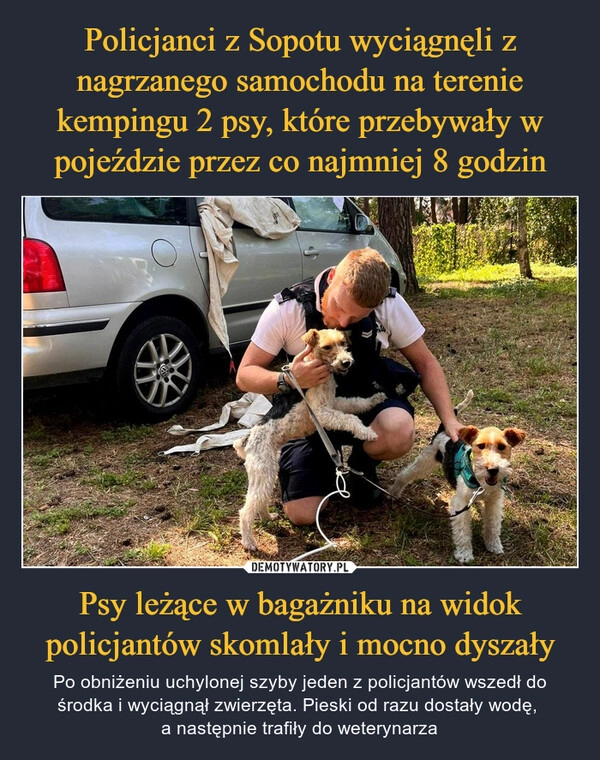 
    Policjanci z Sopotu wyciągnęli z nagrzanego samochodu na terenie kempingu 2 psy, które przebywały w pojeździe przez co najmniej 8 godzin Psy leżące w bagażniku na widok policjantów skomlały i mocno dyszały