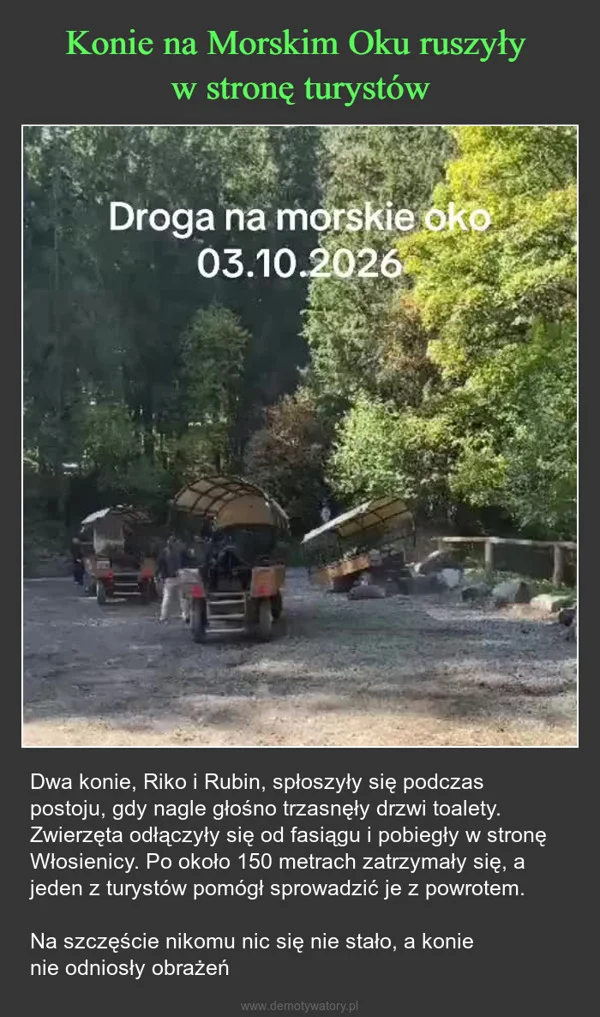 Konie na Morskim Oku ruszyły w stronę turystów