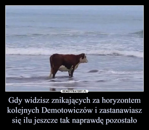 
    Gdy widzisz znikających za horyzontem kolejnych Demotowiczów i zastanawiasz się ilu jeszcze tak naprawdę pozostało