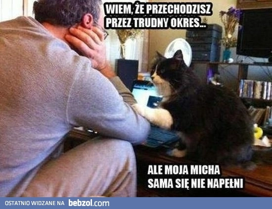 Przyjaciel - kot