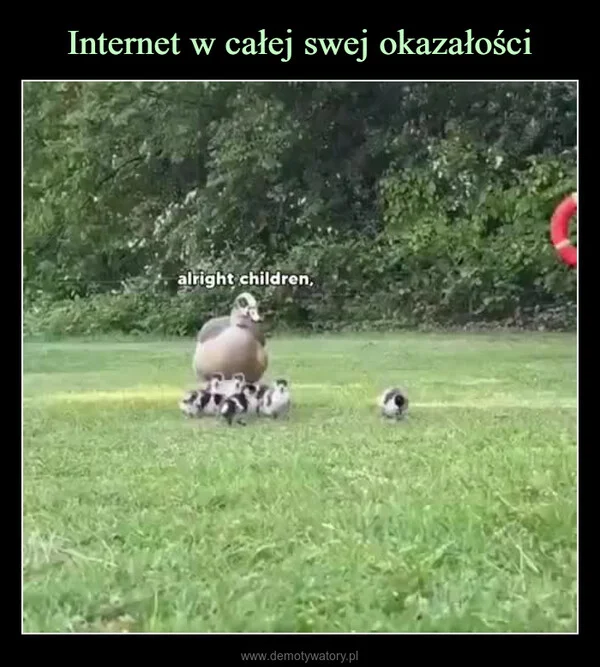 
    Internet w całej swej okazałości