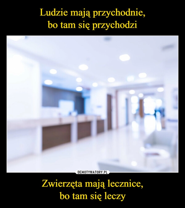 
    
Ludzie mają przychodnie,
bo tam się przychodzi Zwierzęta mają lecznice,
bo tam się leczy 