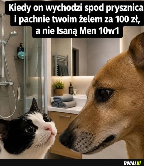
    Mała wpadka