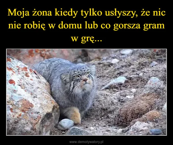 
    Moja żona kiedy tylko usłyszy, że nic nie robię w domu lub co gorsza gram w grę...