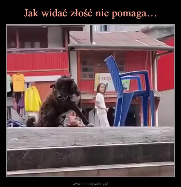 
    Jak widać złość nie pomaga…