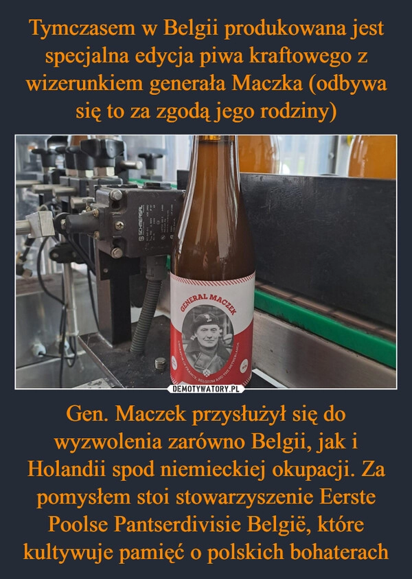 
    Tymczasem w Belgii produkowana jest specjalna edycja piwa kraftowego z wizerunkiem generała Maczka (odbywa się to za zgodą jego rodziny) Gen. Maczek przysłużył się do wyzwolenia zarówno Belgii, jak i Holandii spod niemieckiej okupacji. Za pomysłem stoi stowarzyszenie Eerste Poolse Pantserdivisie België, które kultywuje pamięć o polskich bohaterach