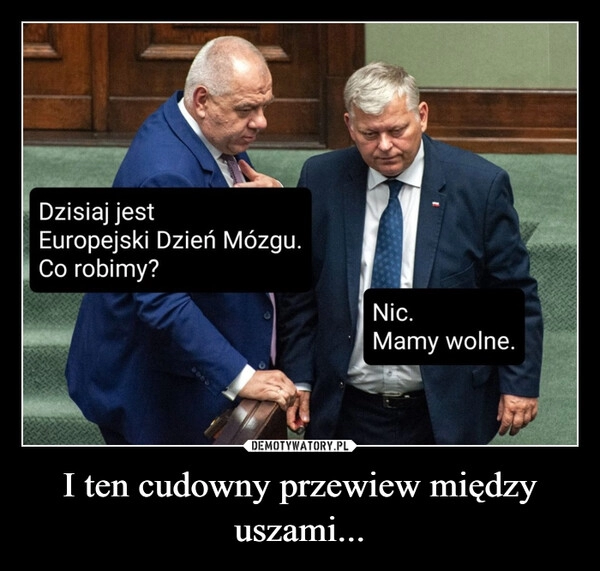 
    I ten cudowny przewiew między uszami...