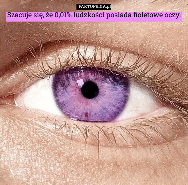 
    Szacuje się, że 0,01% ludzkości posiada fioletowe oczy.