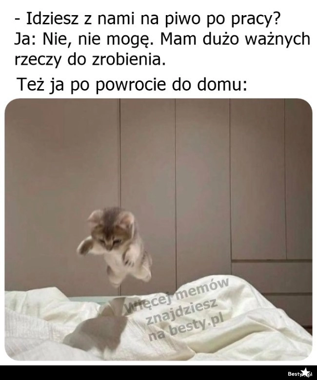 
    Ważne rzeczy do zrobienia 