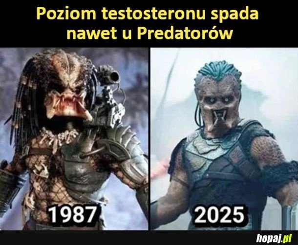 
    Predator