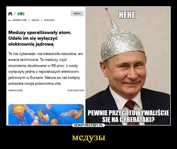 
    медузы
