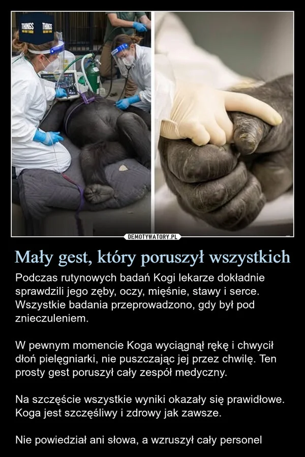 
    Mały gest, który poruszył wszystkich