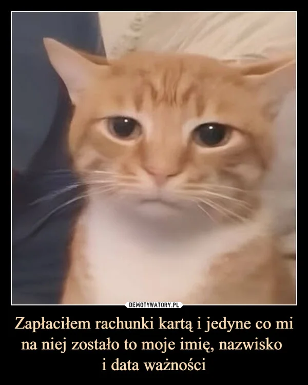 
    Zapłaciłem rachunki kartą i jedyne co mi na niej zostało to moje imię, nazwisko i data ważności