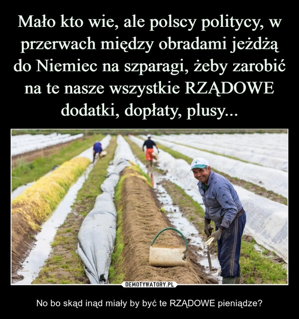 
    Mało kto wie, ale polscy politycy, w przerwach między obradami jeżdżą do Niemiec na szparagi, żeby zarobić na te nasze wszystkie RZĄDOWE dodatki, dopłaty, plusy...