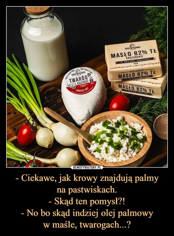 - Ciekawe, jak krowy znajdują palmy na pastwiskach. - Skąd ten pomysł?! - No bo skąd indziej olej palmowy w maśle, twarogach...?