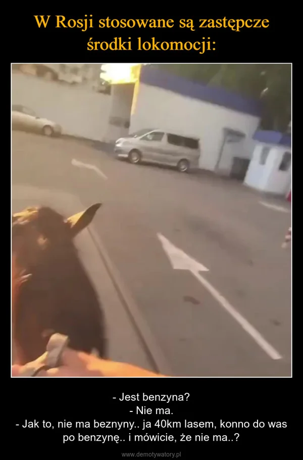 
    W Rosji stosowane są zastępcze środki lokomocji: