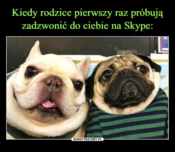 
    Kiedy rodzice pierwszy raz próbują zadzwonić do ciebie na Skype: