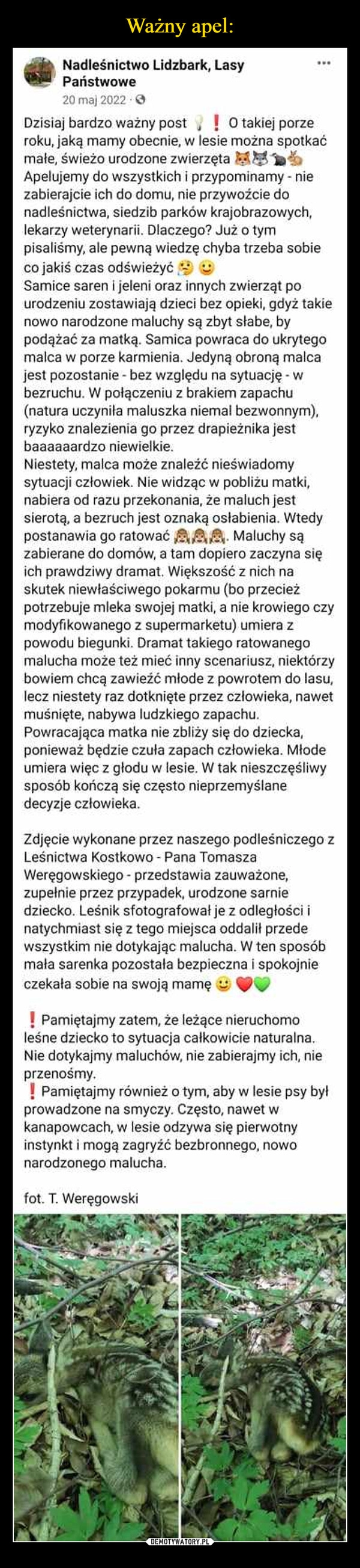 
    Ważny apel: