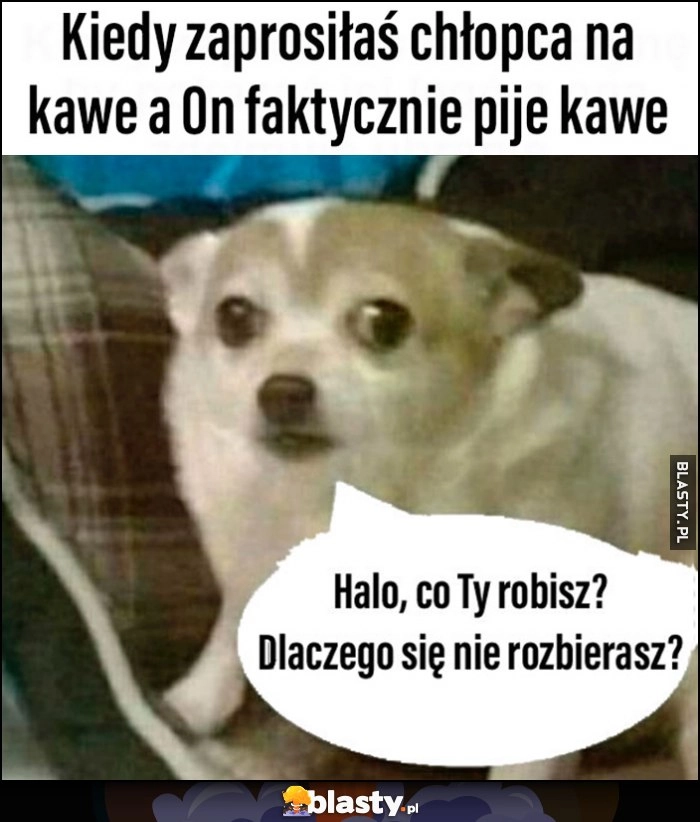 
    Kiedy zaprosiłaś chłopca na kawę a on faktycznie pije kawę: halo co ty robisz, dlaczego się nie rozbierasz? Pies piesek