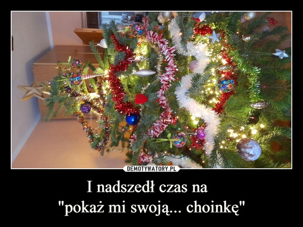 
    
I nadszedł czas na
"pokaż mi swoją... choinkę" 