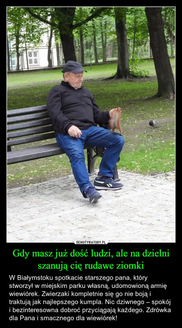 
    Gdy masz już dość ludzi, ale na dzielni szanują cię rudawe ziomki