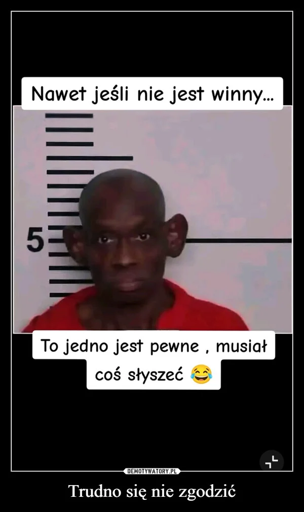 
    Trudno się nie zgodzić